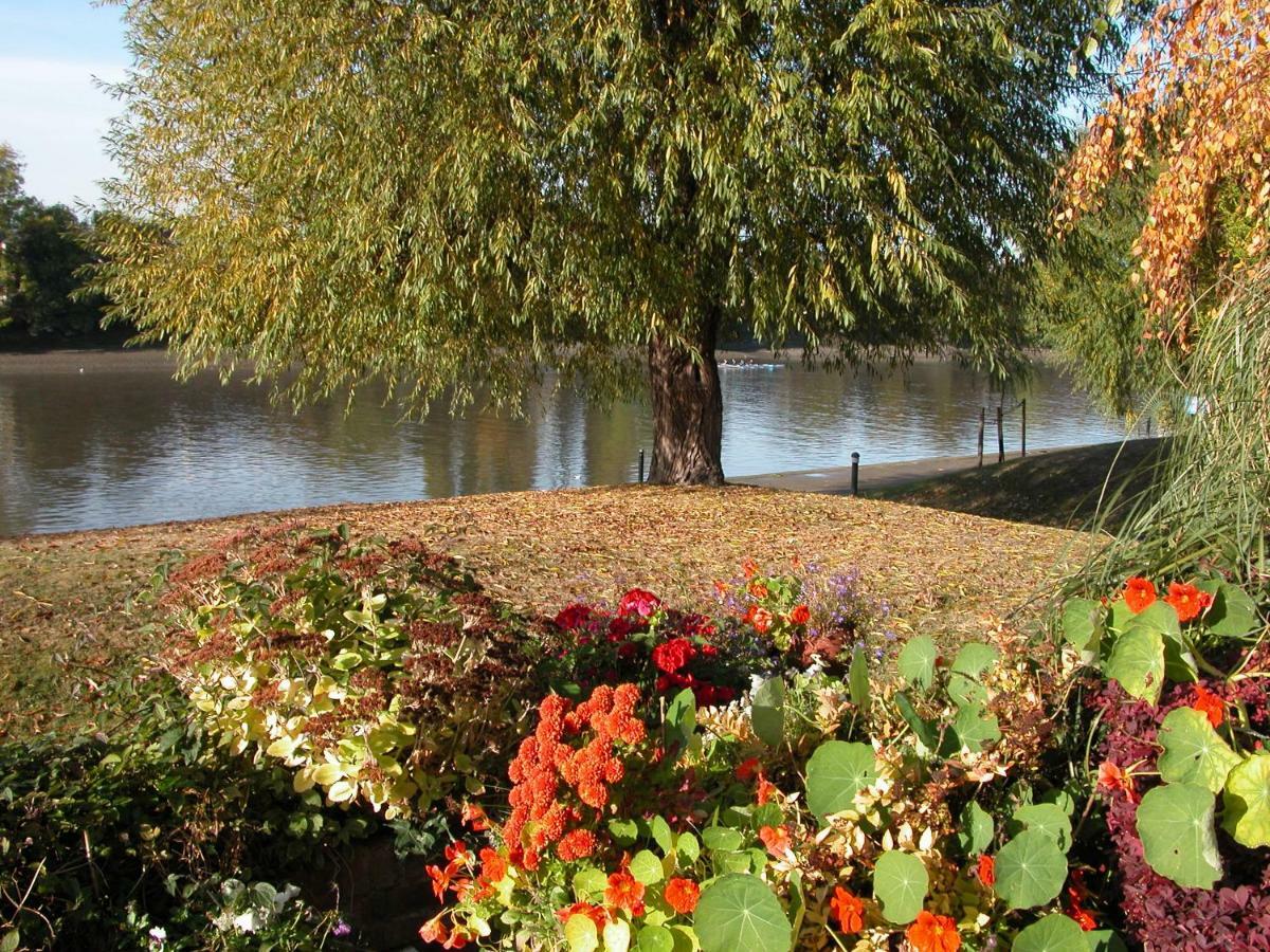Chiswick Riviera With Free Parking Bed and Breakfast London Eksteriør billede