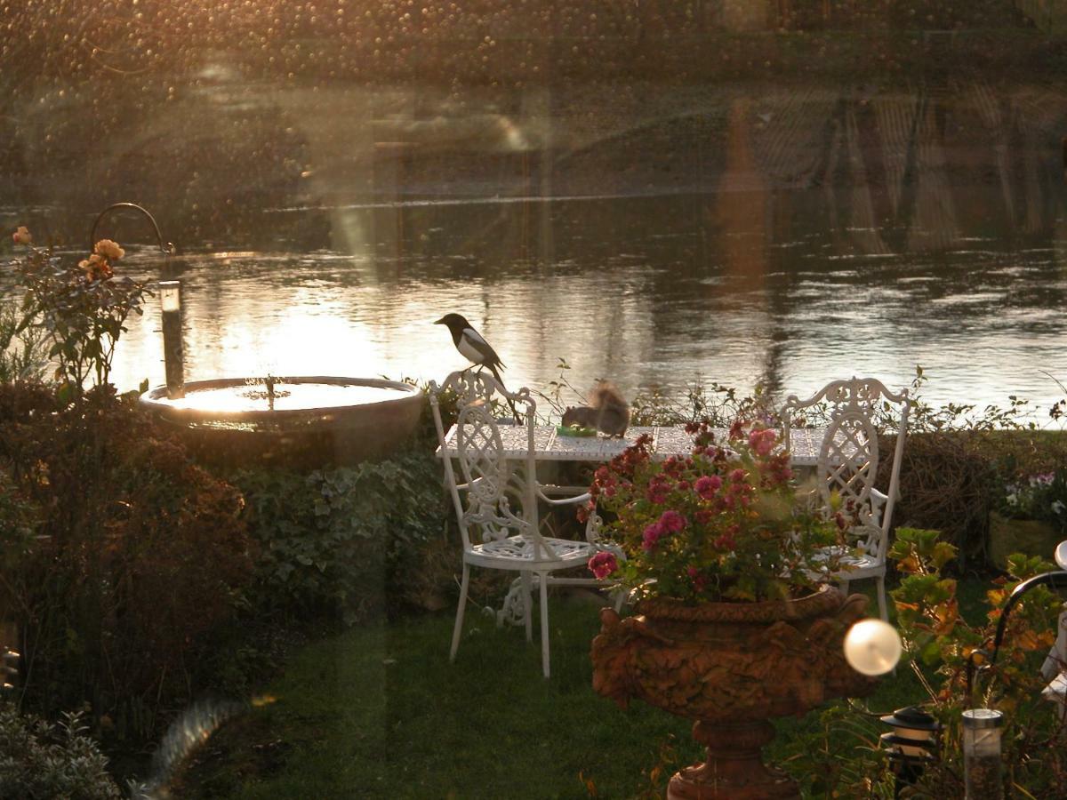 Chiswick Riviera With Free Parking Bed and Breakfast London Eksteriør billede