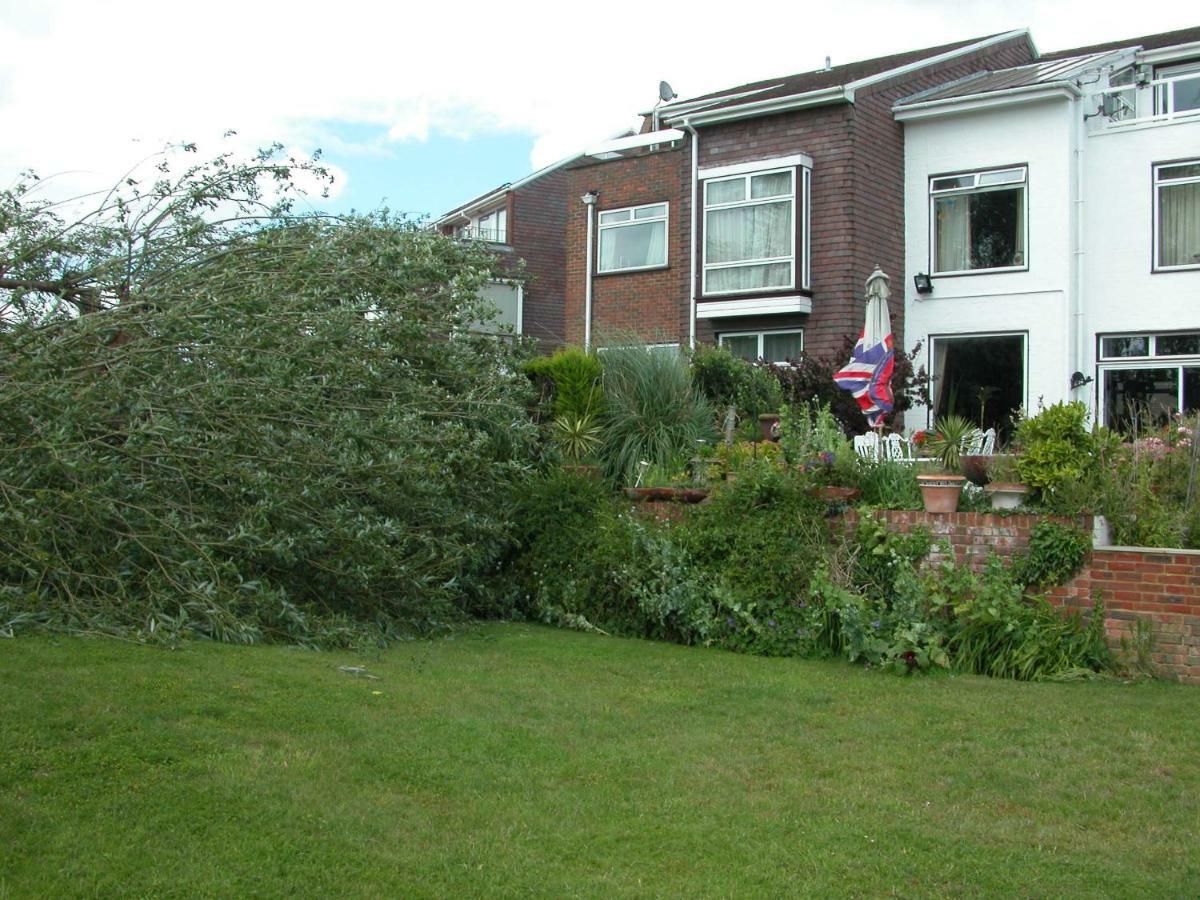 Chiswick Riviera With Free Parking Bed and Breakfast London Eksteriør billede