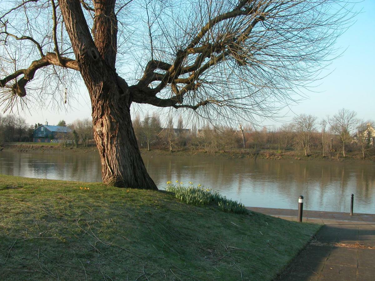 Chiswick Riviera With Free Parking Bed and Breakfast London Eksteriør billede